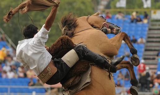 Montevideo: Gauchosi vole jahati samo divlje konje