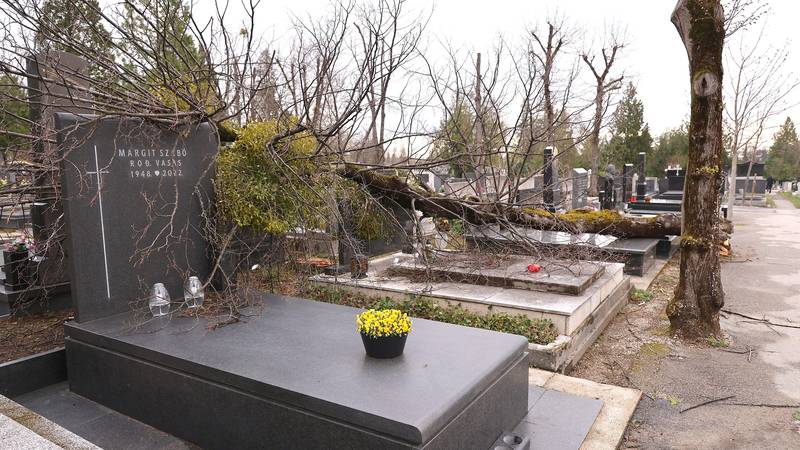 FOTO Na Mirogoju i dalje tužni prizori: Silina vjetra iščupala drveće, oluja uništila grobove