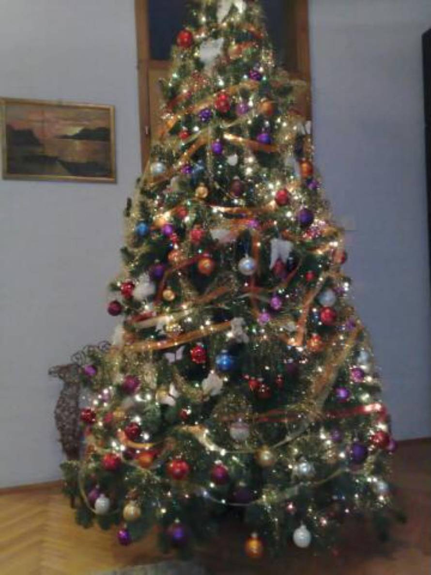 Šaljite fotografije božićnih jelki i osvojite vrijednu nagradu...