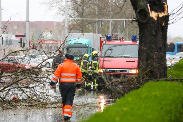 Zagreb: Zatvorena Vukovarska ulica  u smjeru zapada radi uklanjanja stabla