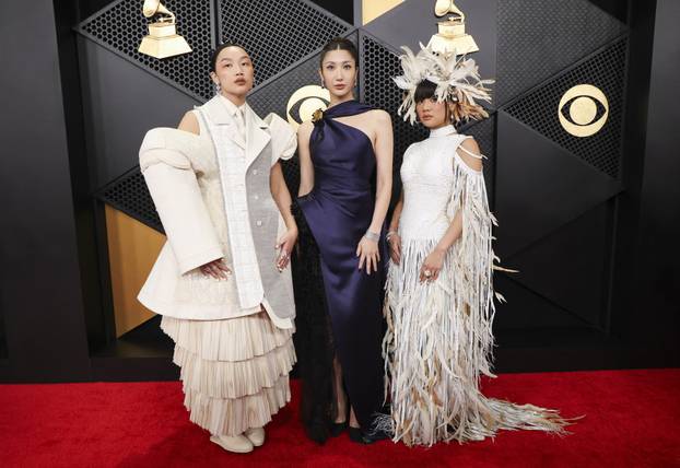 68th Annual Grammy Awards in Los Angeles