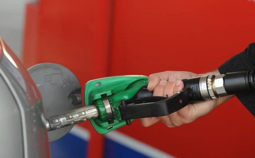 Hrvoje Jelavić/PIXSELL