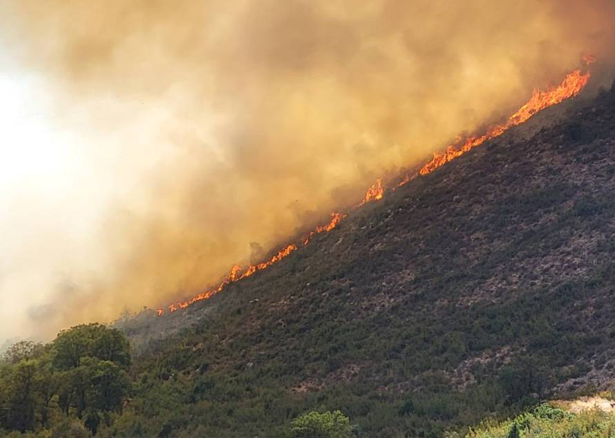 Vatrogasce koji gase požar kod Dubrovnika čeka duga noć: Bura nam otežava, ostajemo do sutra