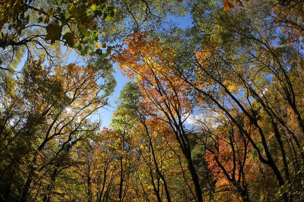 Nacionalni park Paklenica u jesenjem ruhu