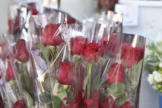 Šibenik: Kupovina cvijeća povodom Međunarodnog dana Žena