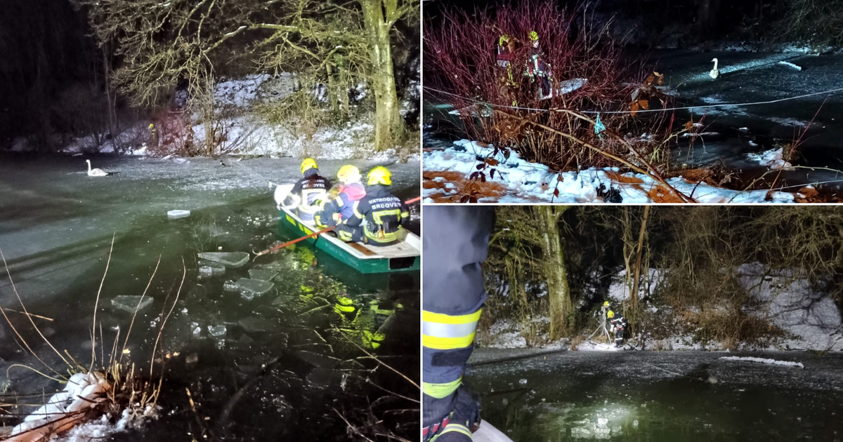 Swan Rescued by Firefighters from Frozen River in Brdovac