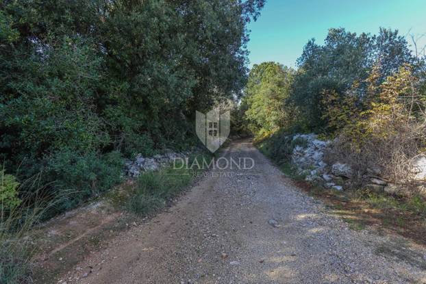 FOTO Pogledajte ovu kućicu u Rovinju za 250.000 €! Ima 15 kvadrata, kažu da je blizu mora