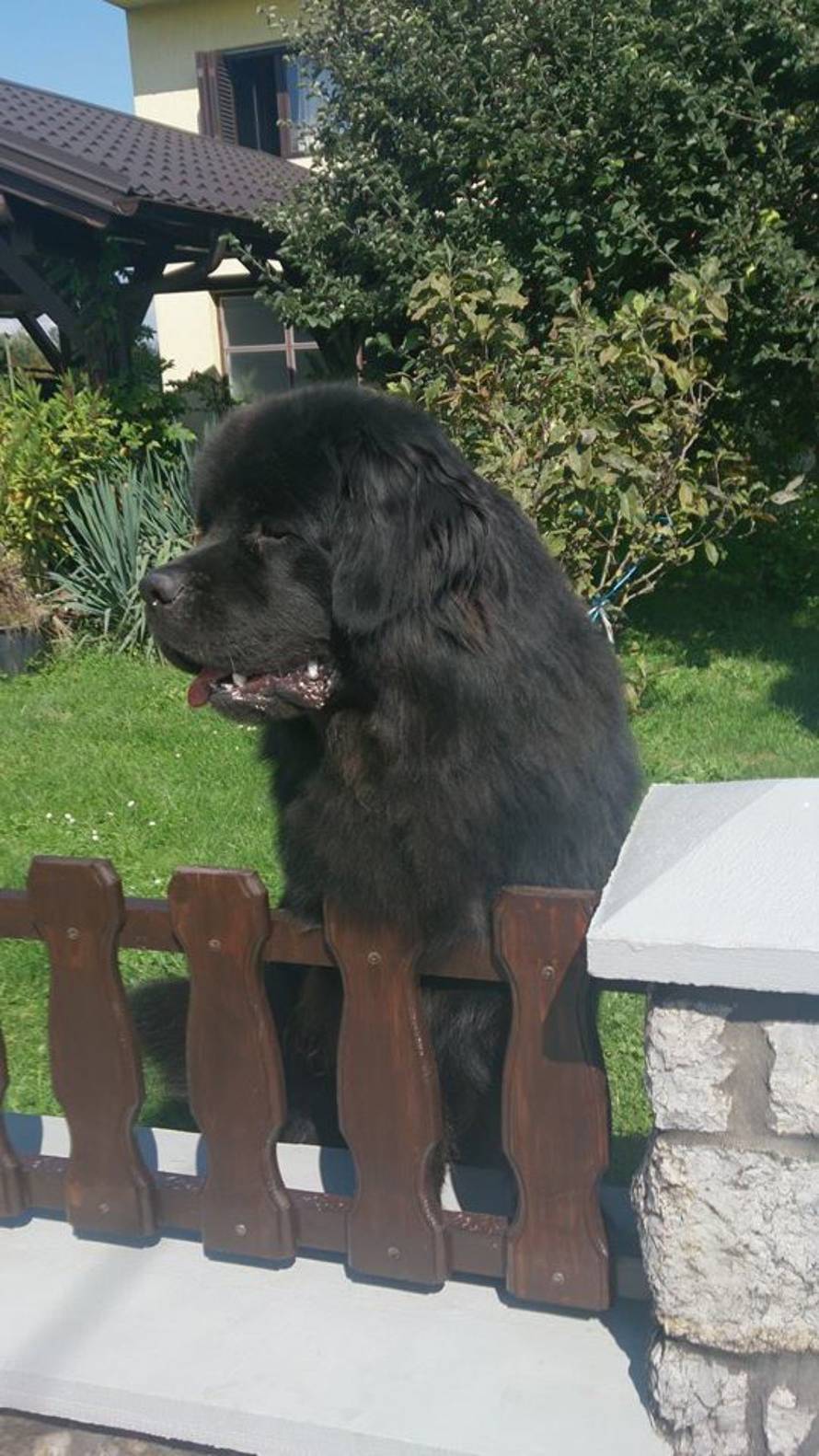 24ljubimci/Fotografije čitatelja