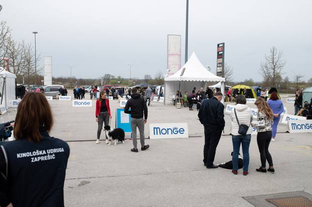 U Zaprešiću održana CAC nacionalna izložba pasa