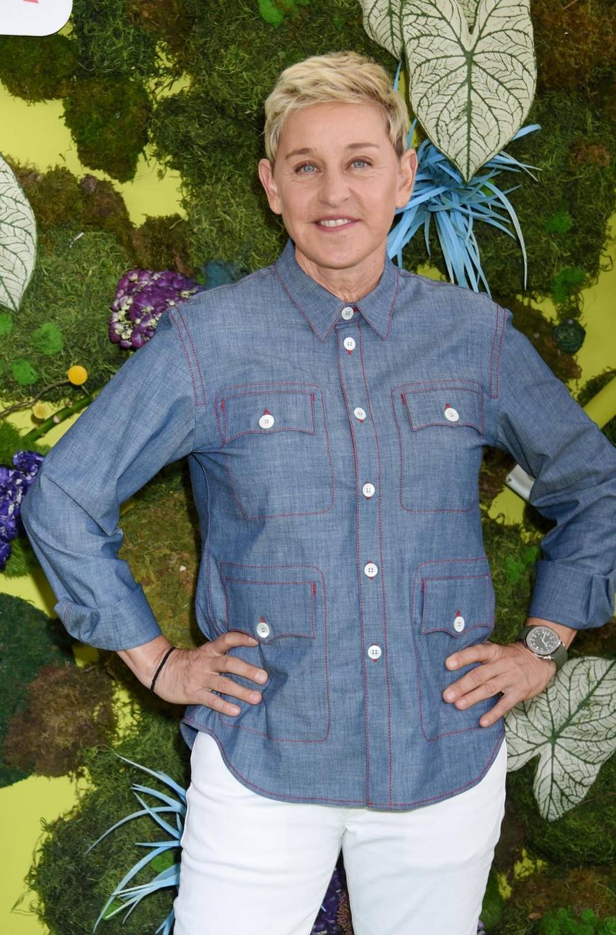 Netflix's Green Eggs And Ham Season 1 Premiere - Los Angeles