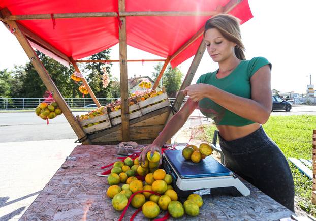 Zagreb: Kristina Penava, prodavačica mandarina kod Podsusedskog mosta