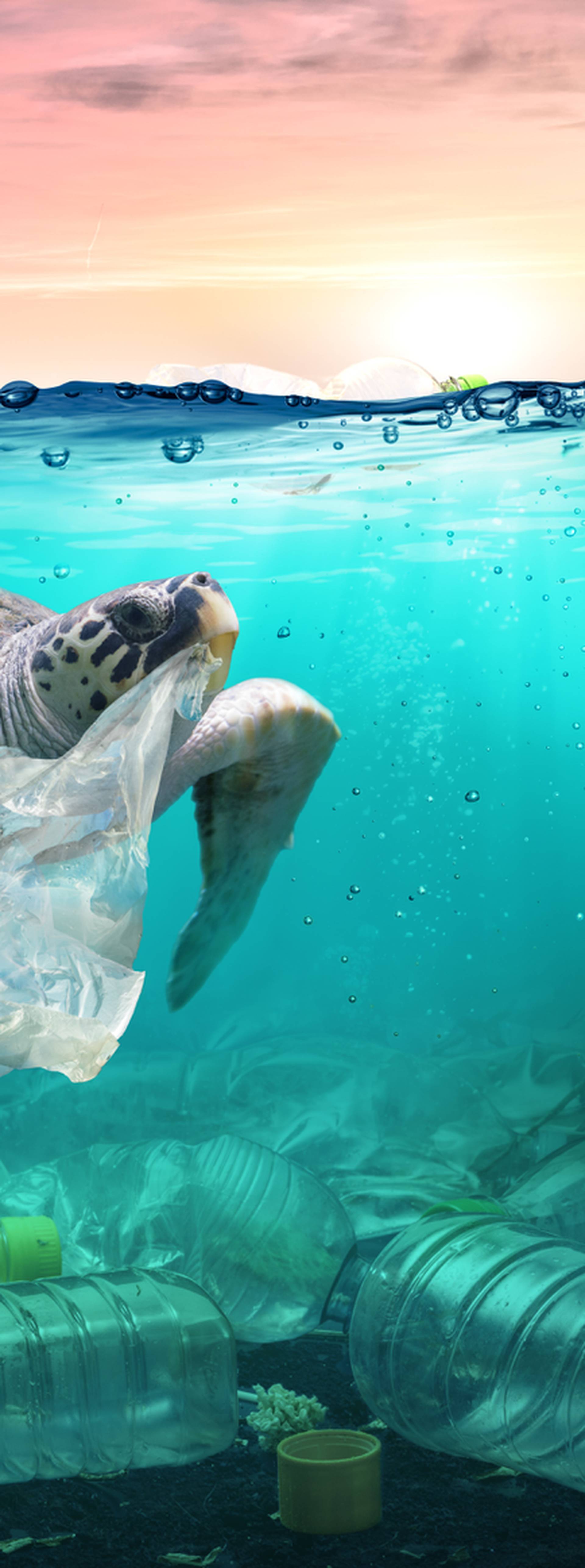 Zagađenje plastikom će do 2040. težiti 1,3 milijarde tona?