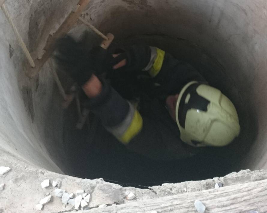 Učenici su pozvali vatrogasce da spase mačića iz bunara