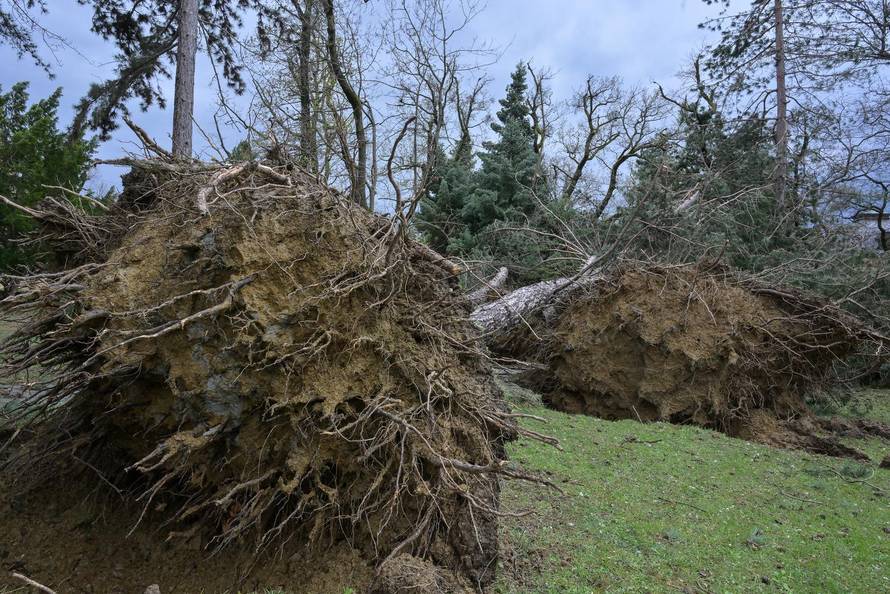 Zagreb: U nevremenu teško  oštećeno gradsko groblje Mirogoj