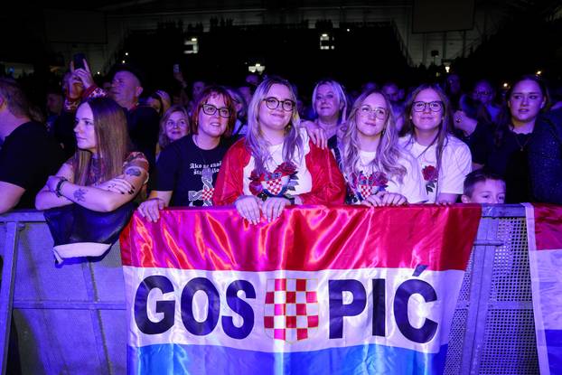 Frankfurt: Hrvatska noć u Suwag Energie Areni