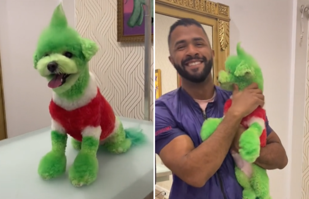 Pas je nakon šišanja - Grinch!
