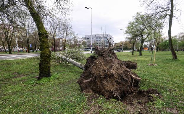 Zagreb: Olujno nevrijeme počupalo stabla na Bundeku 