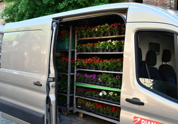 FOTO Sve je šareno i veselo! Brođane čeka sajam cvijeća