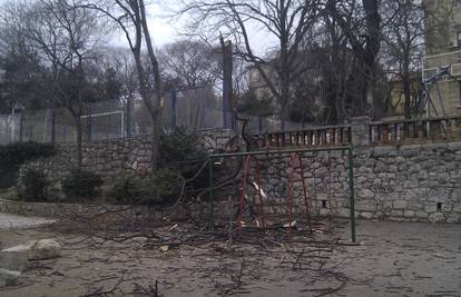 Bura je slomila i srušila stablo, a grane su pale na dječji park