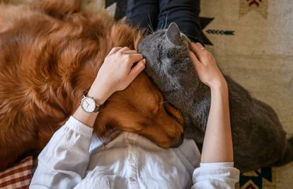 Dokazano je: Vaši ljubimci imaju emocije i razumiju vas