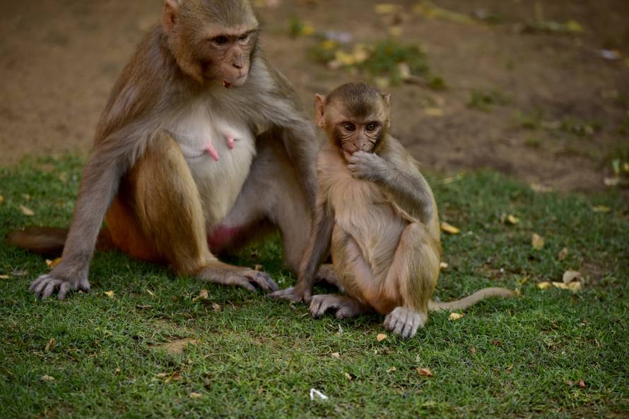 Zabranjena mjesta na svijetu - tamo smiju ući samo odabrani