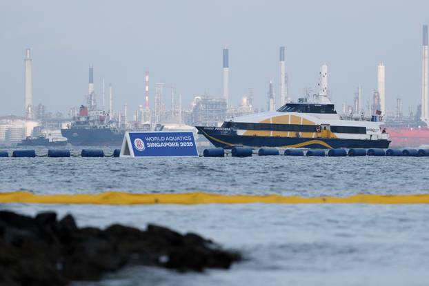 World Aquatics Championships