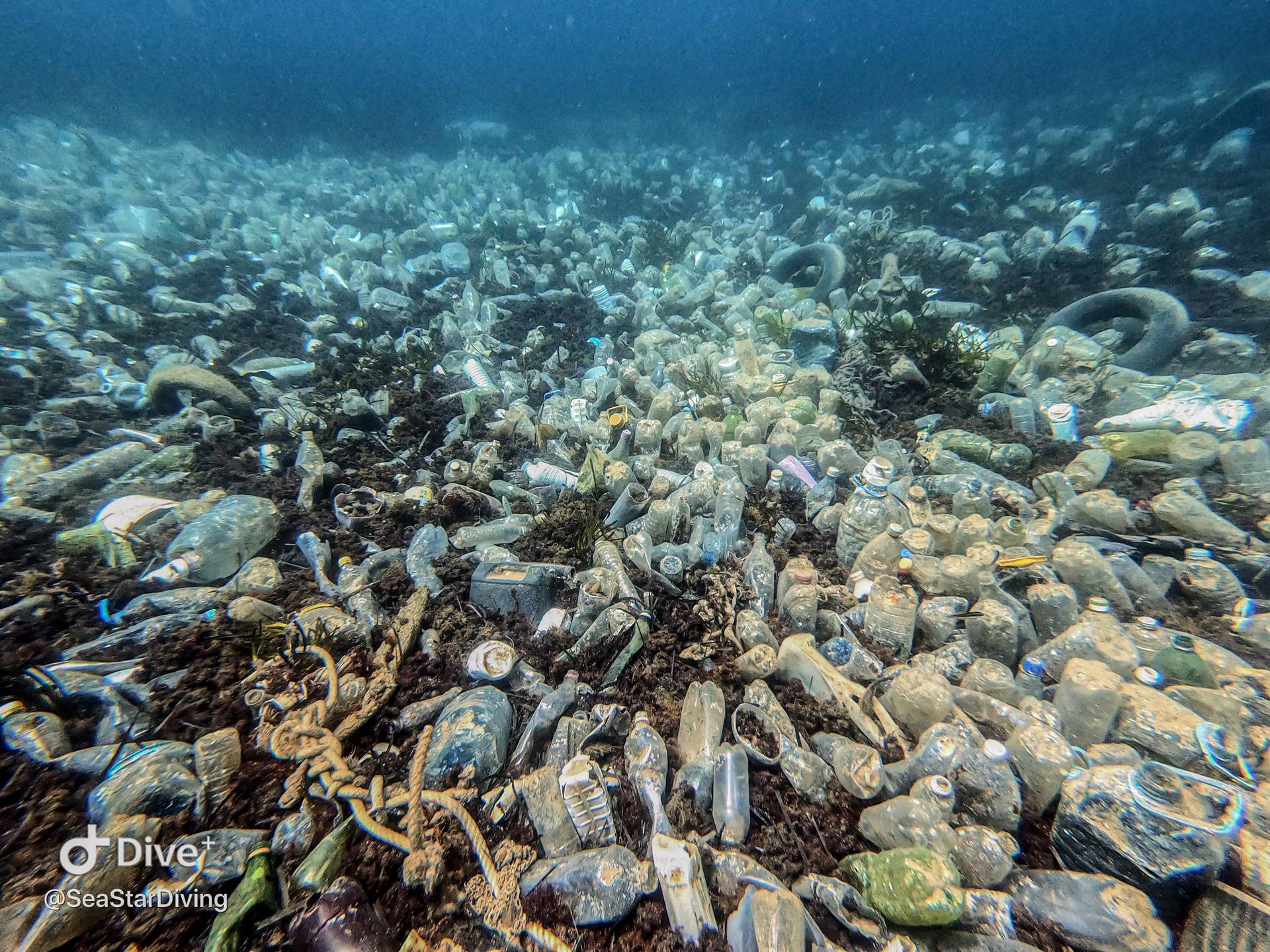 Dramatični prizori: Podmorje nam ubija plastika iz susjedstva