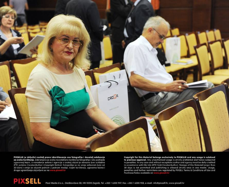 Davor Višnjić/Pixsell