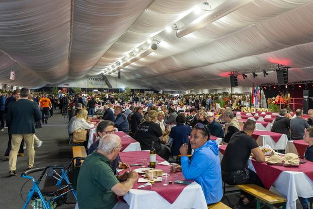 Otvoren 17. Internacionalni sajam pršuta u Tinjanu