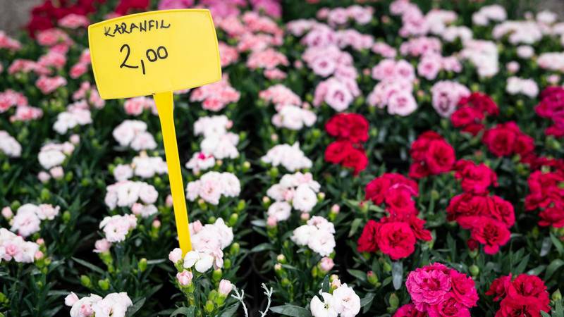 FOTO Otvoren je Floraart! Evo što je u ponudi i koje su cijene