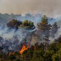 FOTO Vatrogasci će kod Segeta Gornjeg dežurati cijelu noć