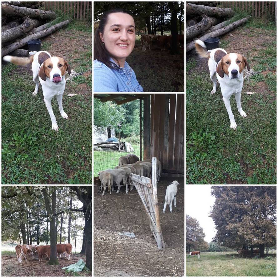 Iza kulisa: Marijana pozirala s kravama, postala žena mačka...