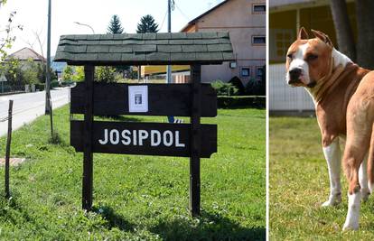 Staford ugrizao prvašića: 'Sin je vrištao, vlasnici su čupali psa i jedva ga  maknuli. Sad je bolje'