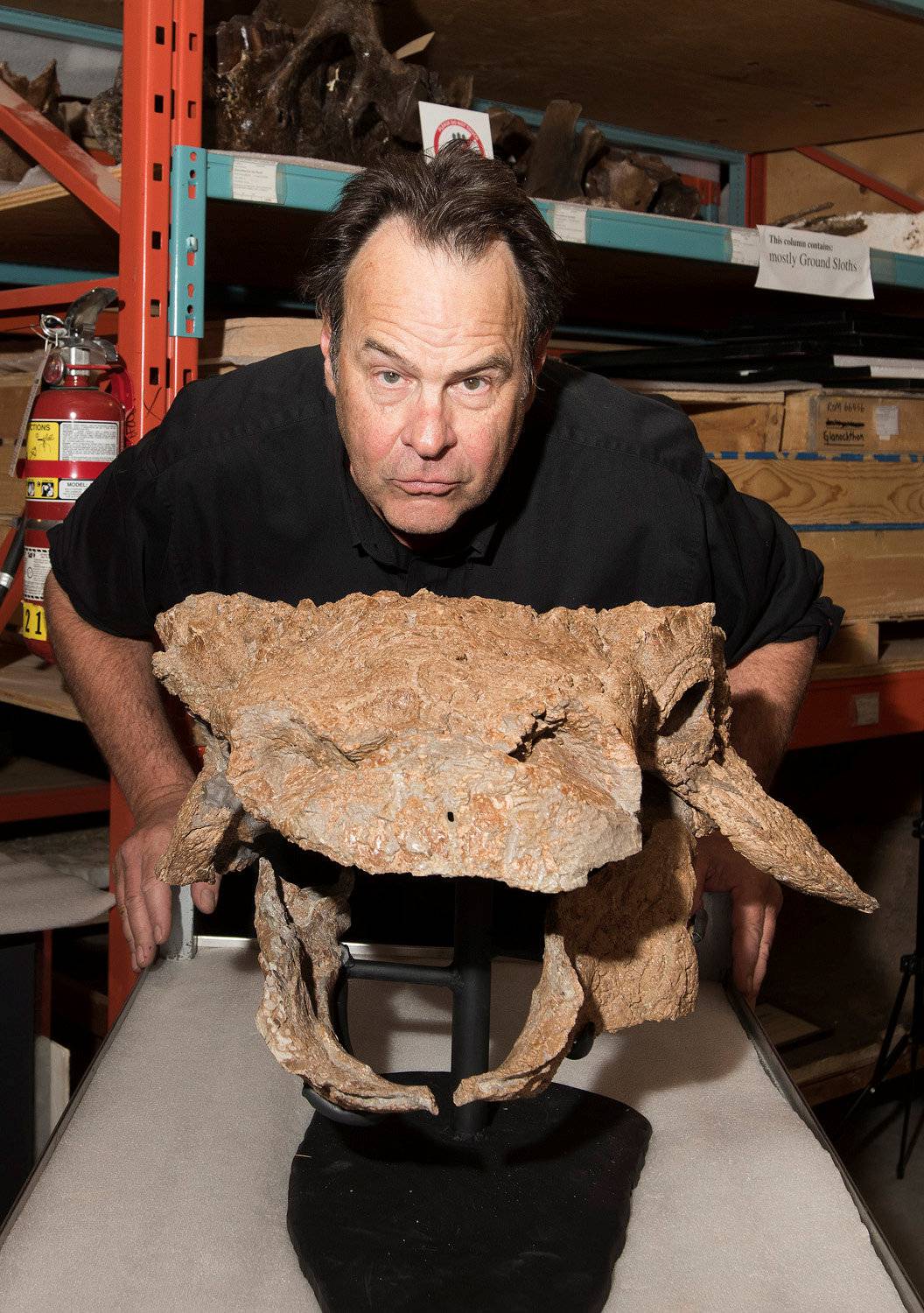 Actor Dan Aykroyd poses in the Royal Ontario Museum's paleontology collections room with fossils of Zuul crurivastator in Toronto