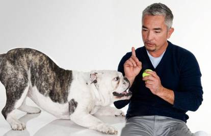 Tražite šaptača psima? Cesar Millan pomaže vam u odabiru