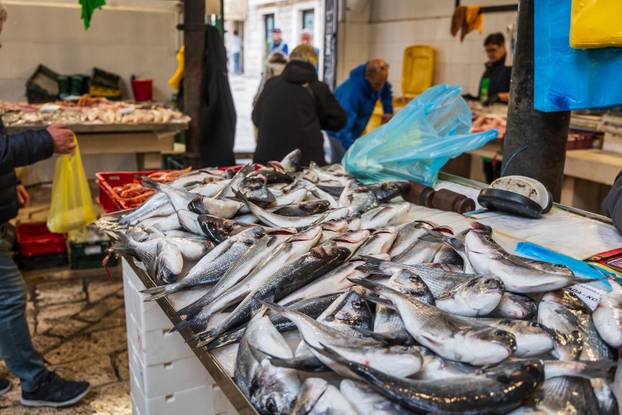 Split: Bogata ponuda ribe petkom u splitskoj ribarnici