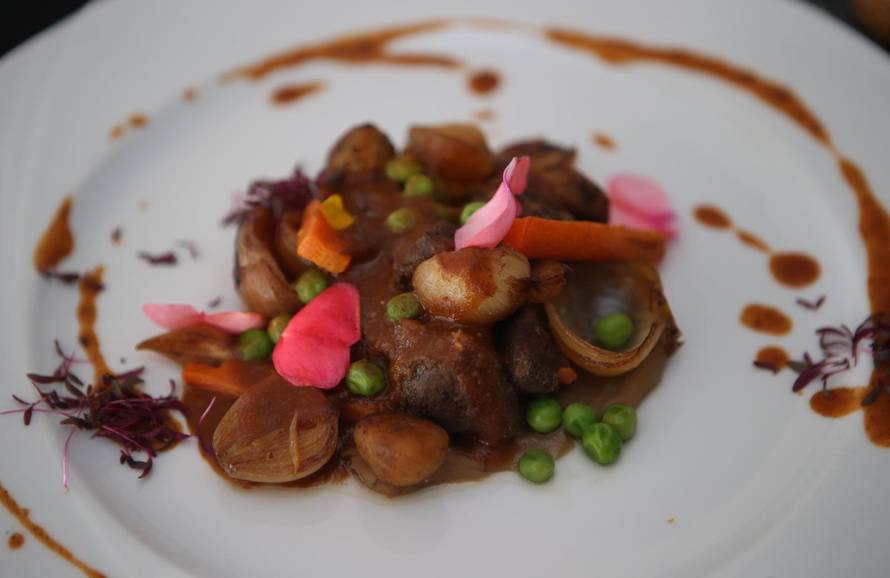 Gastroevent Split - češnjak i sumpor