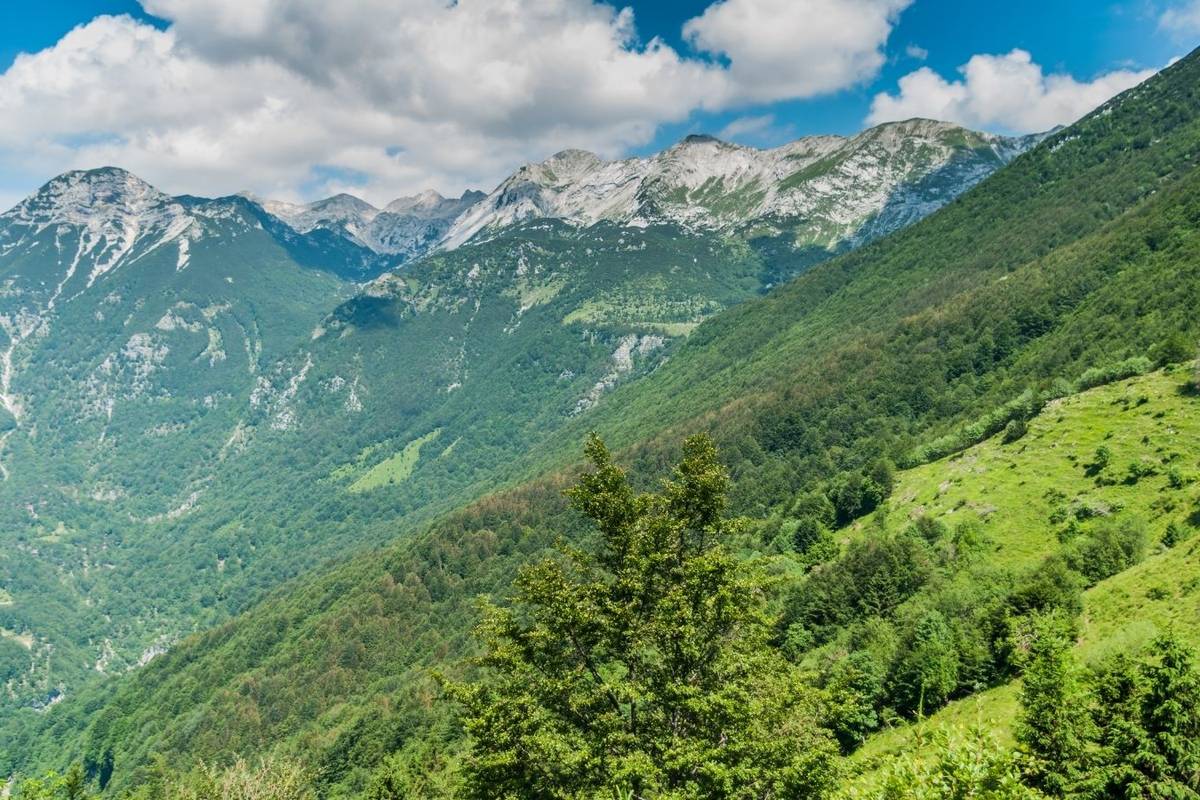 Hrvatski planinar poginuo u Sloveniji: Pri usponu na Branu se poskliznuo i pao u provaliju