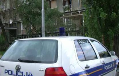 Krao po stanu i zatekli ga vlasnici pa zvali policiju