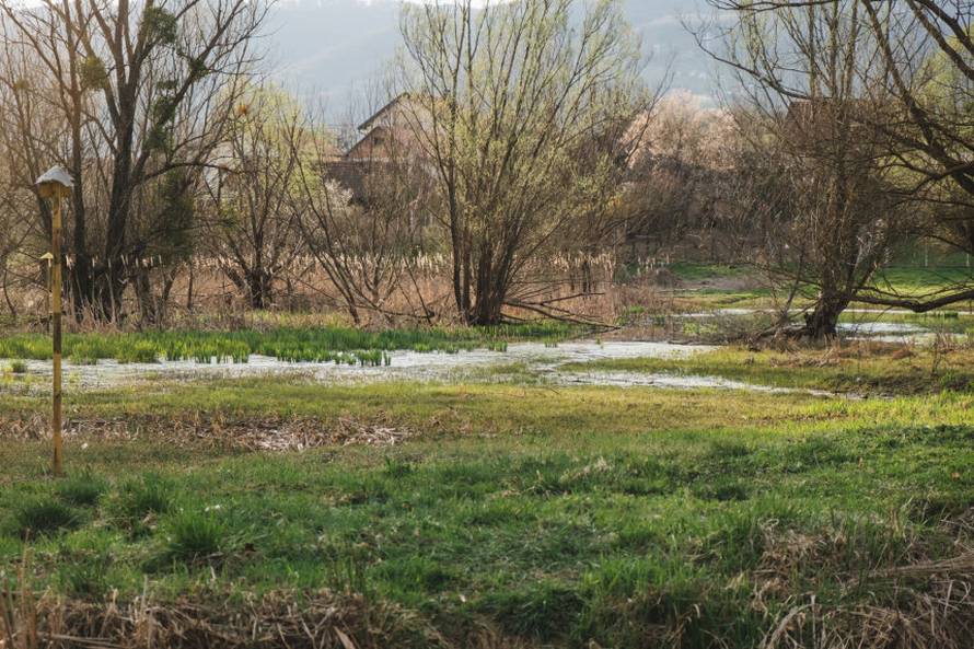 Dabrovi u Novom Marofu rade probleme: 'Ukrali su 200 letvi radnicima i odnijeli ih u potok'