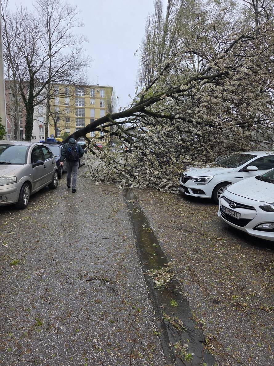 Evo koliko su vatrogasci imali intervencija zbog oluje