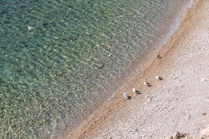 Plaža Oprna na Krku jedna je od najljepših plaža na Jadranu