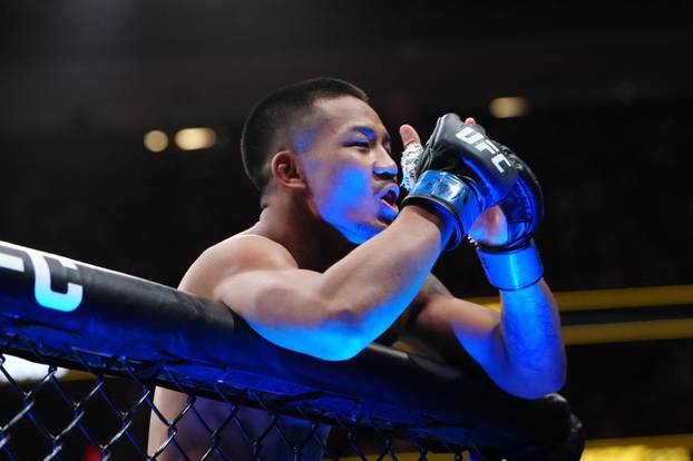 MMA: UFC 323 - Pantoja vs Van