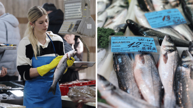 VIDEO Pogledajte ponudu ribe i morskih plodova na Dolcu: Stigla i tražena sitna plava riba