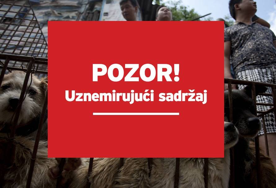 10.000 pasa i mačaka čeka da ih se zakolje i servira na stol