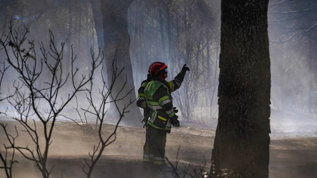 Firefighters fight blaze near France's Mediterranean coast