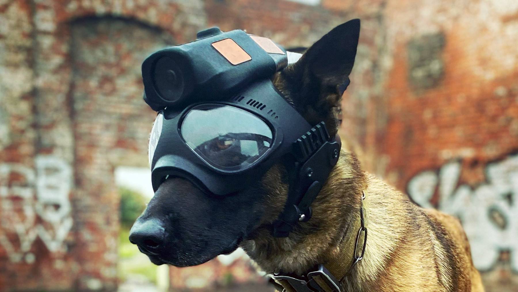 New high tech police dog cam puts criminals in the picture