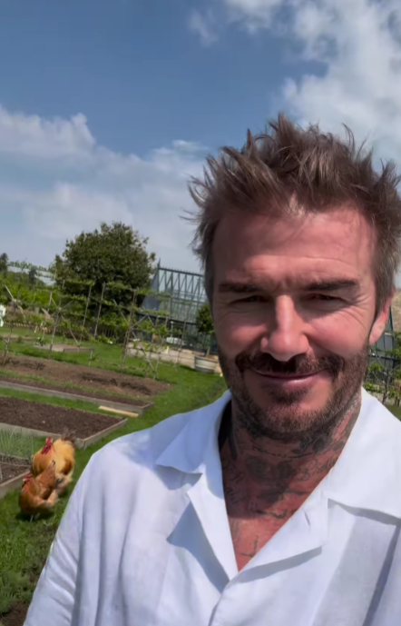 VIDEO Beckham ima novi hobi: Postao je farmer i uzgaja kokoši