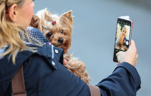 Zagreb: Blagoslov kućnih ljubimaca povodom svetkovine sv. Franje