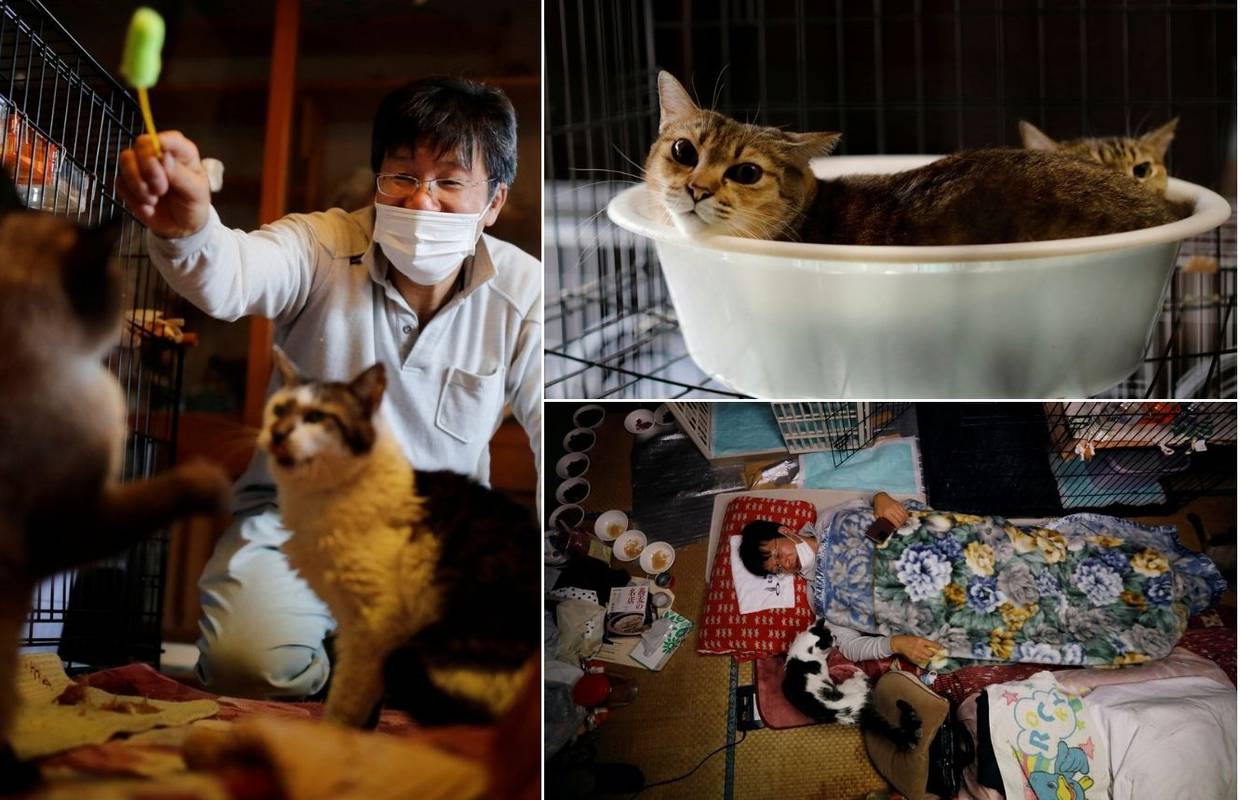 Sakae je ostao spašavati mačke u Fukušimi: Kad se pobrinem za posljednju, mogu i umrijeti